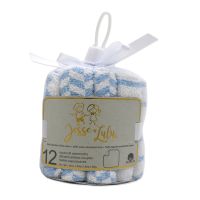 12-Pack Argyle Theme Washcloth: Blue 