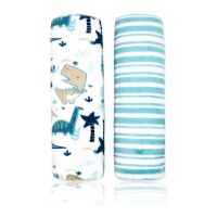 2 Pack Flannel Fleece Blanket: Teal Dinos 