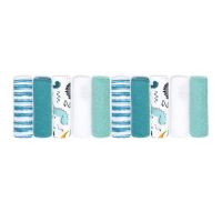10-Pack Microfiber Washcloth: Teal Dino 