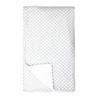 2 Layer Muslin/ Plush Blanket: Sage Grid