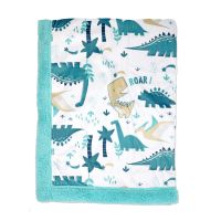 Mink / Sherpa Blanket: Teal Dino